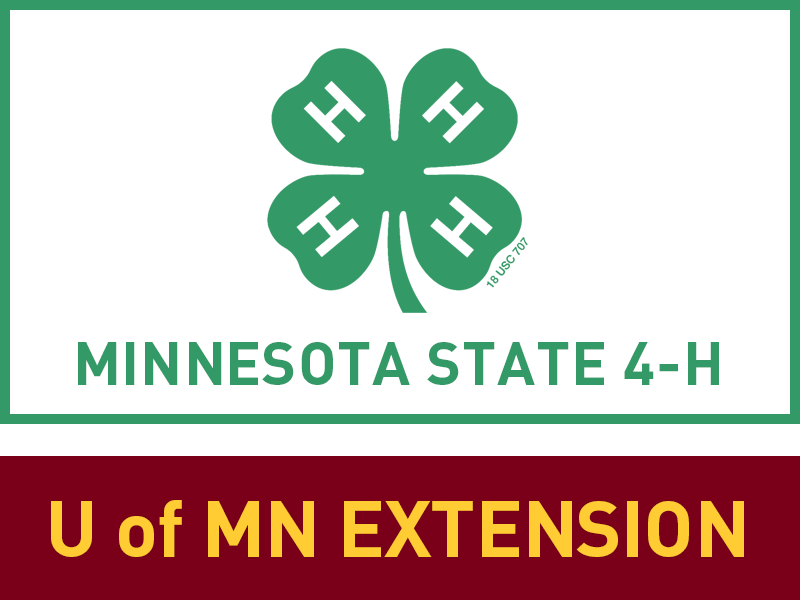 Minnesota 4-H State Horse Show